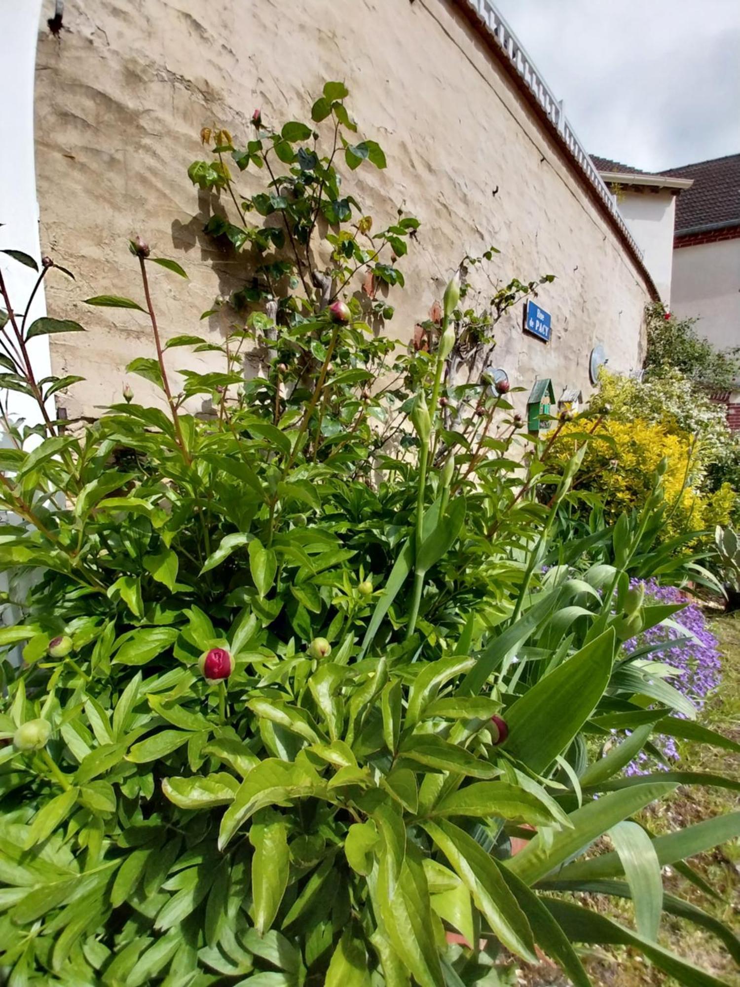 La Petite Maison Gasny Dış mekan fotoğraf